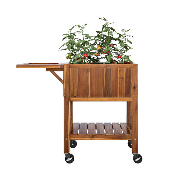 Front view of the planter with tomatoes grown inside