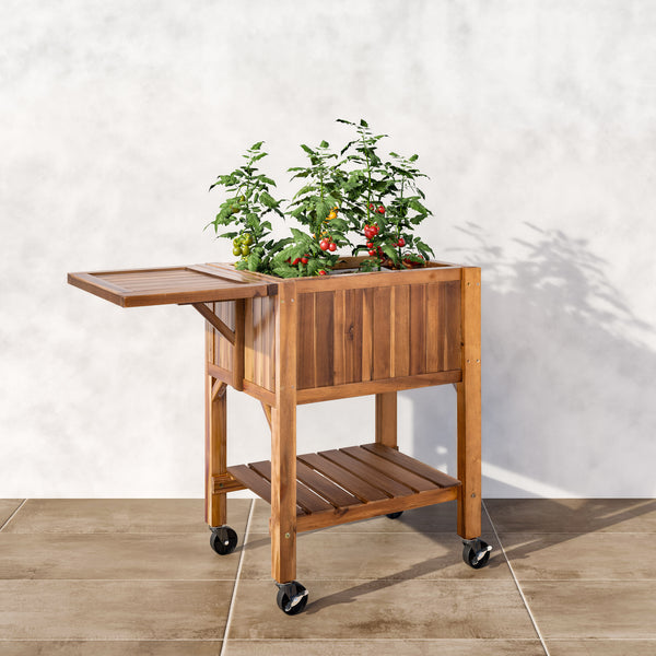 Acacia planter with plants on a tiled floor.