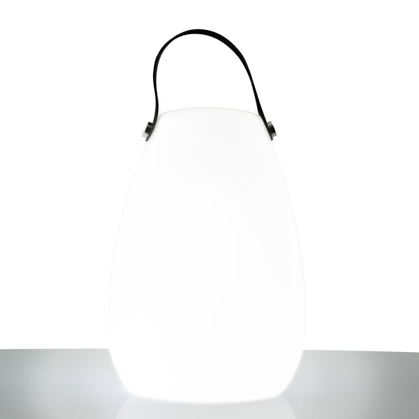 GloGlobe® Multi-Color LED Lantern (2-Pack)